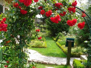 Blick durch ein Rosenspalier - Entspannung für Urlauber